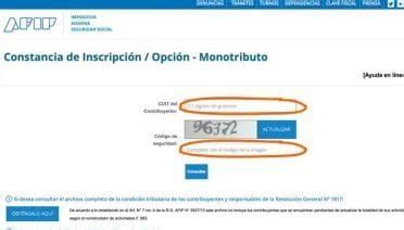 consya|obtener constancia de cuit.